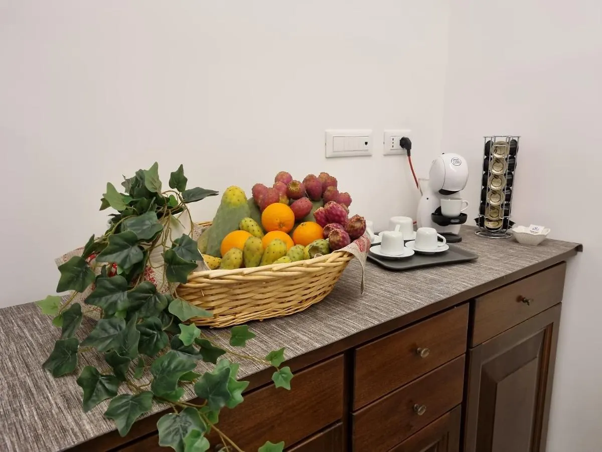 Syraka Camere kontakter